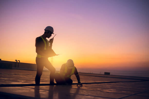 Best Roof Gutter Cleaning  in Plains, TX
