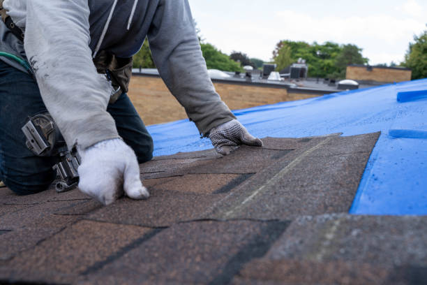 Best Metal Roofing Contractor  in Plains, TX